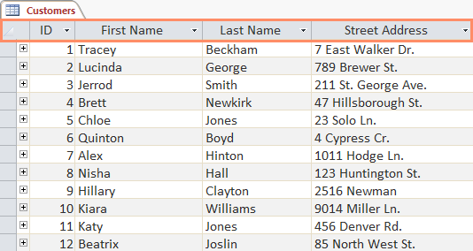 Fields and field names