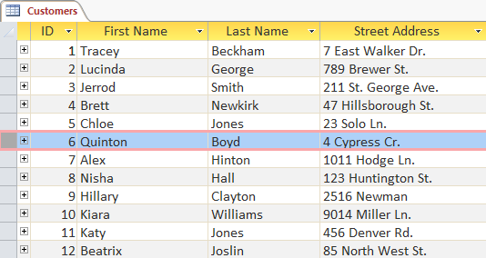 Records and record ID numbers