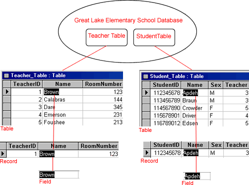 Great Lake Elementary School database