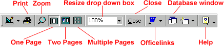 Print Preview toolbar