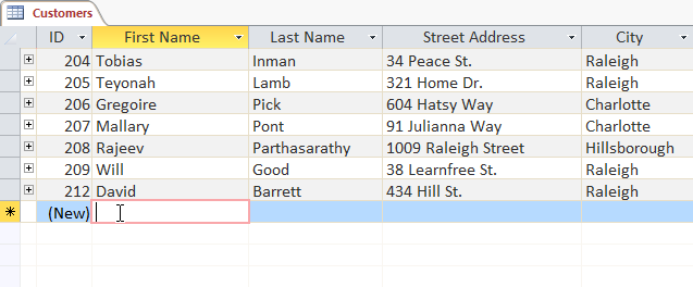 Adding a new record by typing in the row under the last record