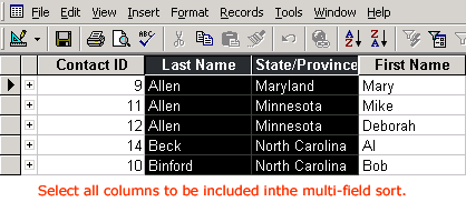 Columns Selected in Multi-Field Sort