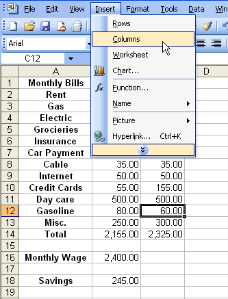 Insert and Columns Menu Selections