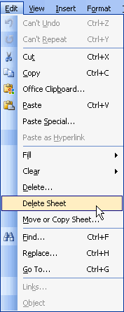 Edit and Delete Sheet Menu Selections