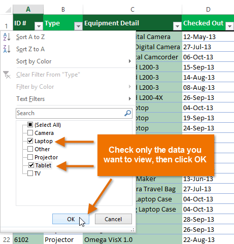 Screenshot of Excel 2013