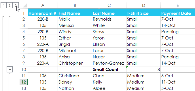 Screenshot of Excel 2013