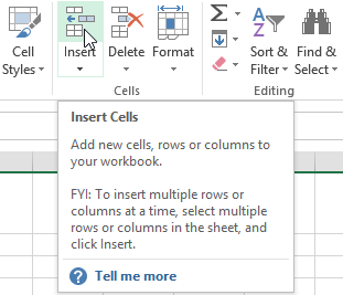 Screenshot of Excel 2013