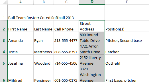 Screenshot of Excel 2013