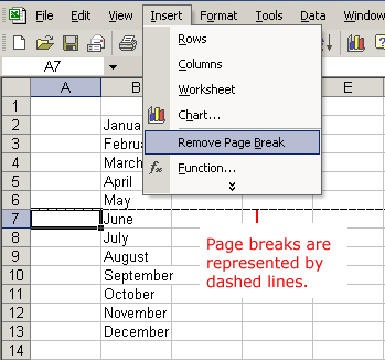 Insert and Remove Page Break Menu Options