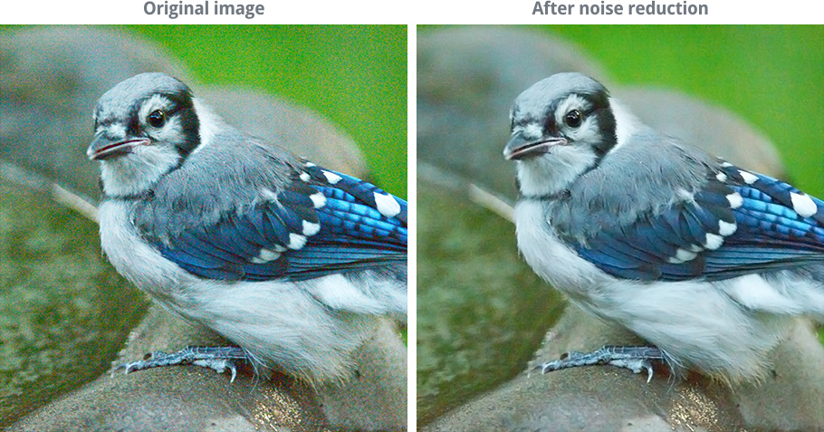 images demonstrating noise reduction