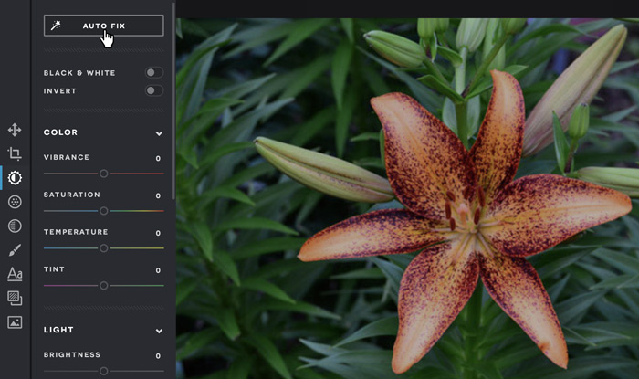 A screenshot of the Pixlr X interface.