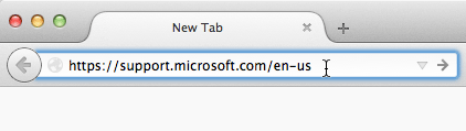 Screenshot of pasting URL into address bar