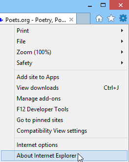 screenshot of Internet Explorer 11