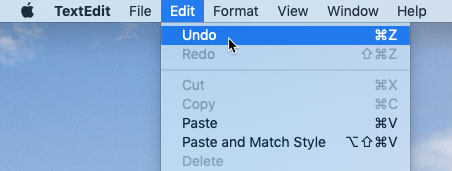 screenshot of selecting Undo from the Edit menu of an application