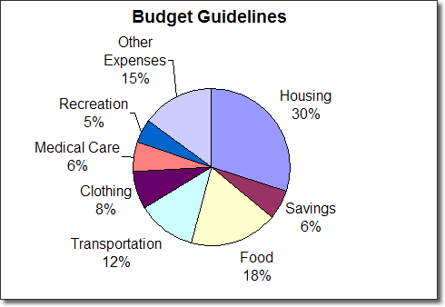 chart of Vanessa's monthly expenses