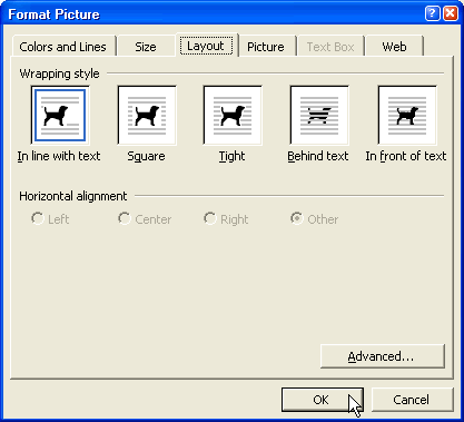 Format Picture dialog box - Layout tab