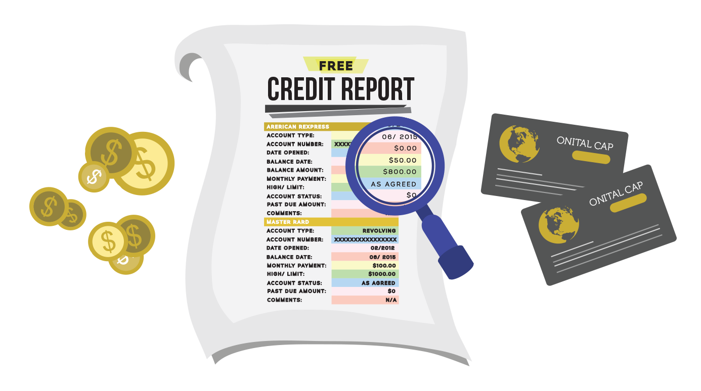 a credit report