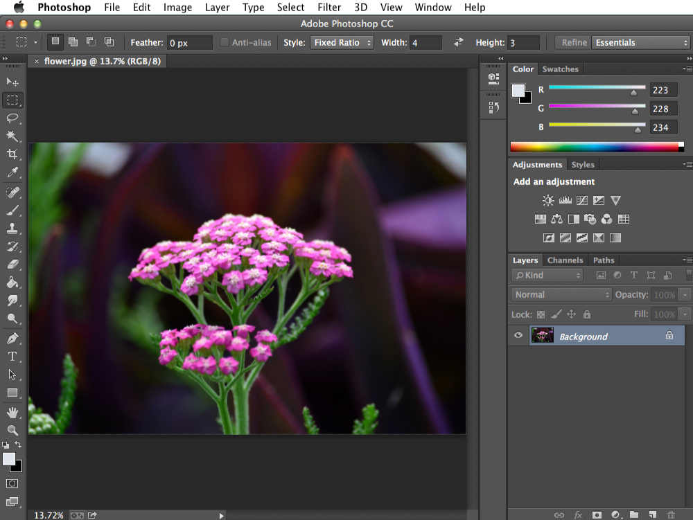 Screenshot of Adobe Photoshop CC