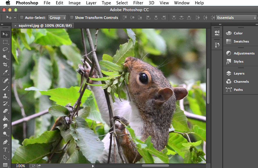 Screenshot of Adobe Photoshop CC