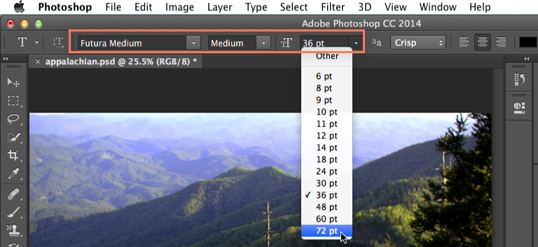 Screenshot of Adobe Photoshop CC