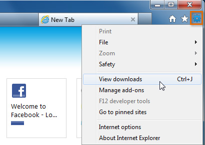 Screenshot of Internet Explorer