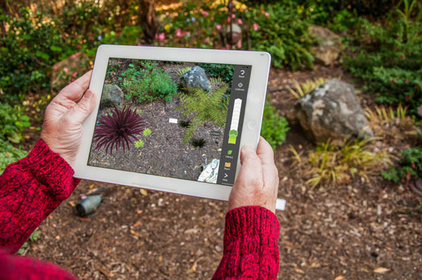 A person sees augmented reality through their iPad screen.